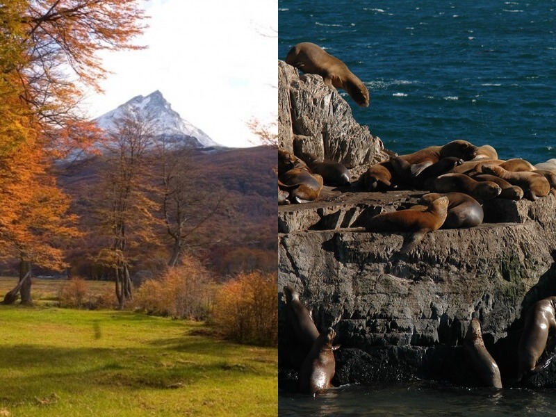 Viví un día inolvidable en Ushuaia combinando dos de sus experiencias más emblemáticas: el Parque Nacional Tierra del Fuego y la Navegación por el Canal Beagle. Podés realizarlas en un mismo día, para aprovechar al máximo tu estadía, o en días separados si preferís disfrutarlas con más calma. Caminá por el Parque Nacional y navegá entre lobos marinos y aves sorprendentes. Prepará tu cámara y tu espíritu aventurero: el Fin del Mundo te espera para un viaje que nunca vas a olvidar.