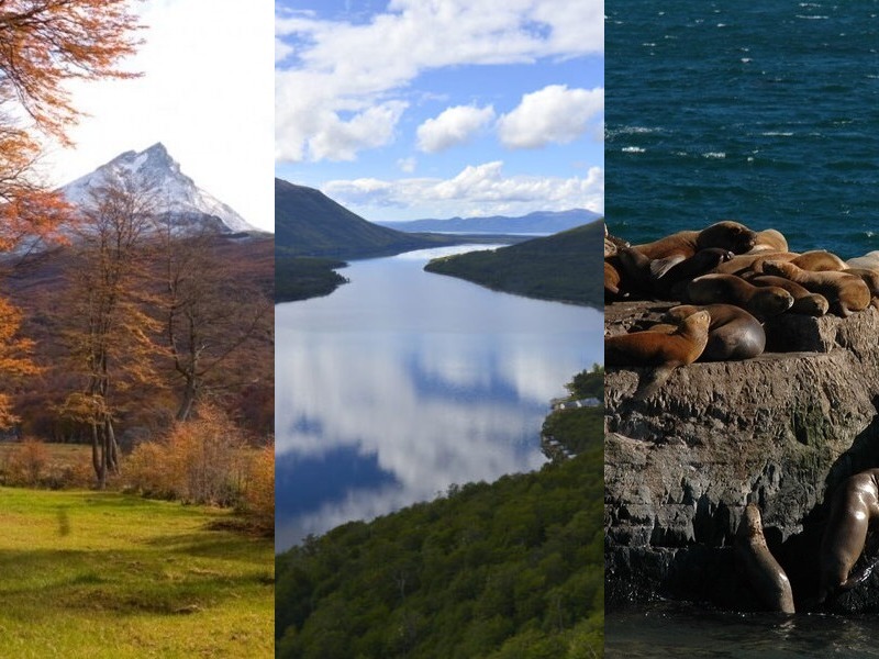 Descubrí Ushuaia y Tierra del Fuego como nunca antes con la promo Parque Nacional + Navegación Lobos + Lagos Escondido y Fagnano. Hacelas en 2 días para aprovechar al máximo tu estadía o una por día para disfrutarlas con total tranquilidad. Bosques milenarios, lagos glaciares, ríos, cascadas y el Canal Beagle te esperan en aventuras únicas. Caminá por el Parque Nacional, navegá entre lobos marinos y aves sorprendentes, y recorrelos lagos con panoramicas que quitan el aliento.