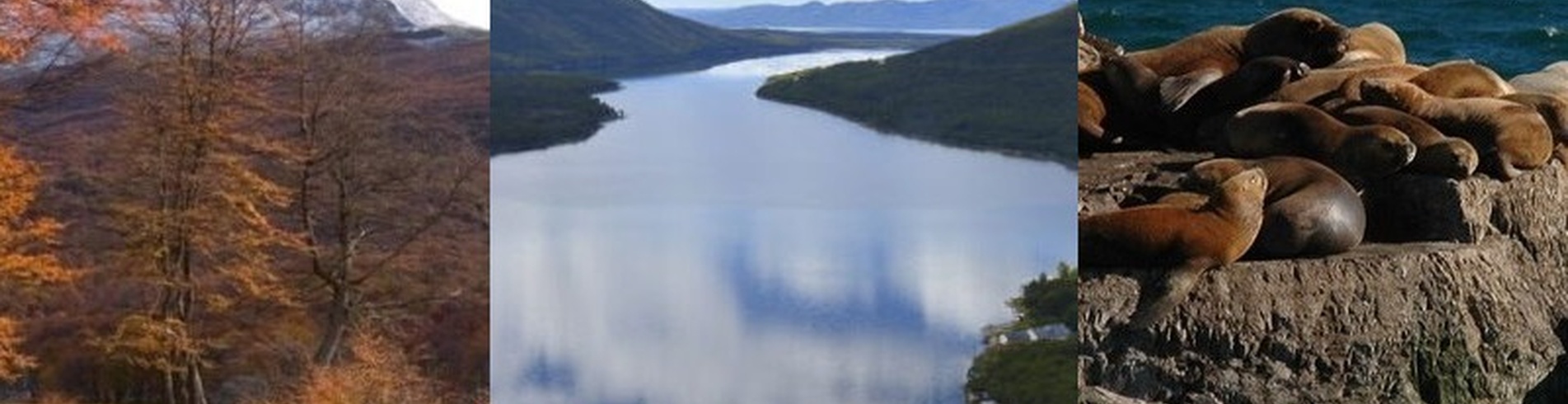 PARQUE NACIONAL + NAVEGACION LOBOS + LAGOS